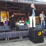 Musiksommer (31)