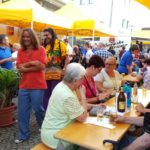 Musiksommer (37)