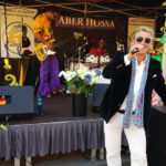 Musiksommer (9)